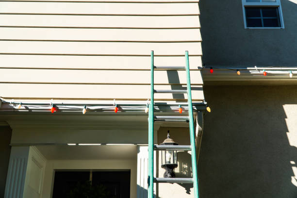 Best Stone Veneer Siding  in Ridgeway, VA