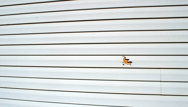 Best Residential Vinyl Siding Installation  in Ridgeway, VA