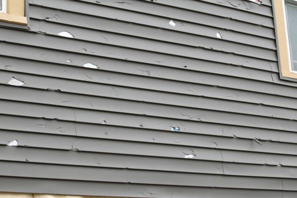 Best Steel Siding Installation  in Ridgeway, VA